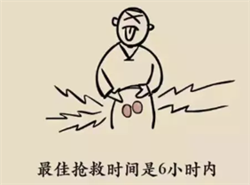 C:\Users\Administrator\Desktop\睾丸扭转\微信图片_20211220203057.png
